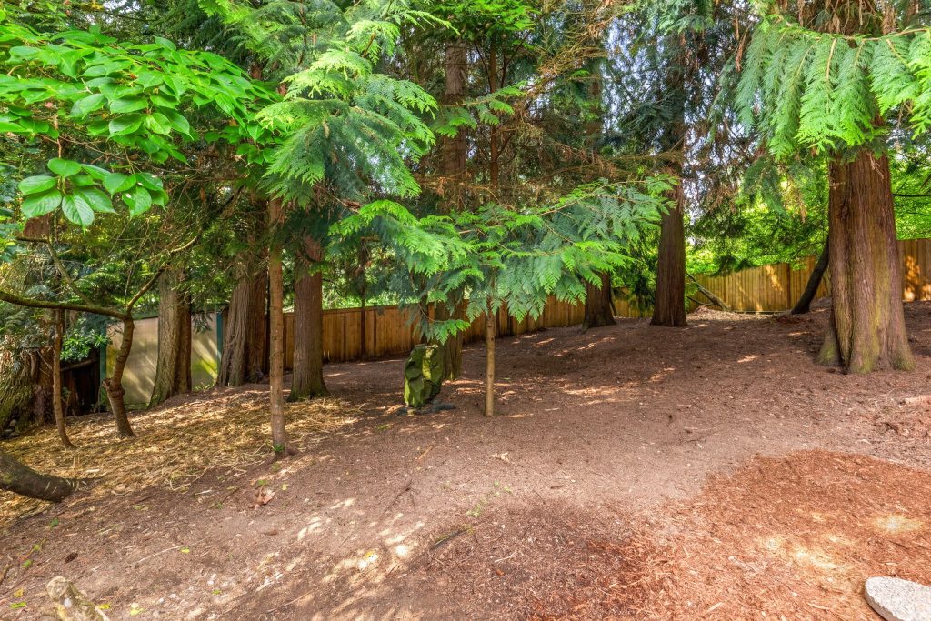 332 163rd Pl SE, Bothell WA_0041
